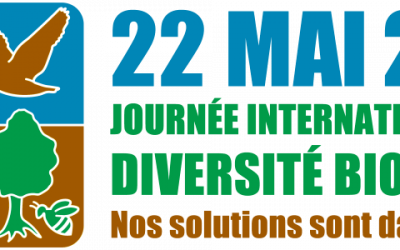 Journée Internationale de la biodiversité, n’oublions pas que nous faisons partie d’un Tout