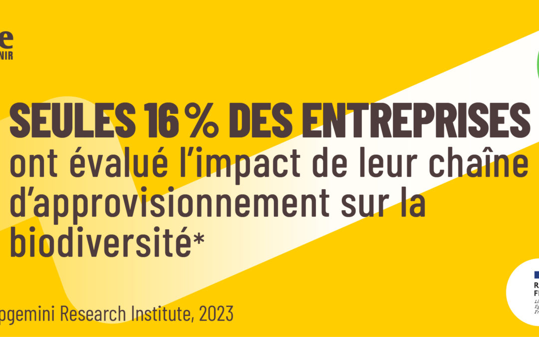 🎯 Intégrez la biodiversité à votre stratégie d’entreprise avec le Diag Biodiversité Bpifrance/OFB